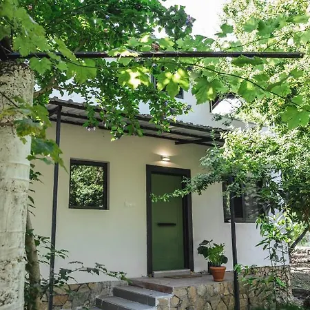 Bed & Breakfast Nomadas Yanıklar