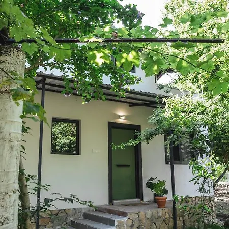 Bed & Breakfast Nomadas Yaniklar